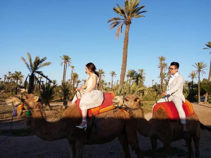 Couple Excursion dromadaire Agadir