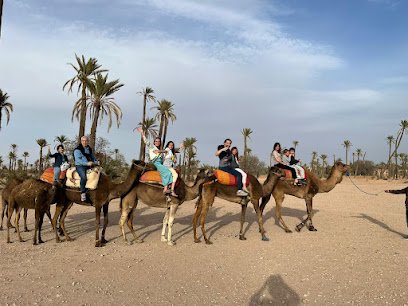 Excursion dromadaire au coucher du soleil Agadir