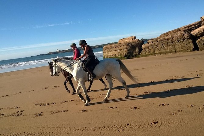 Excursion balade à cheval sur la Plage