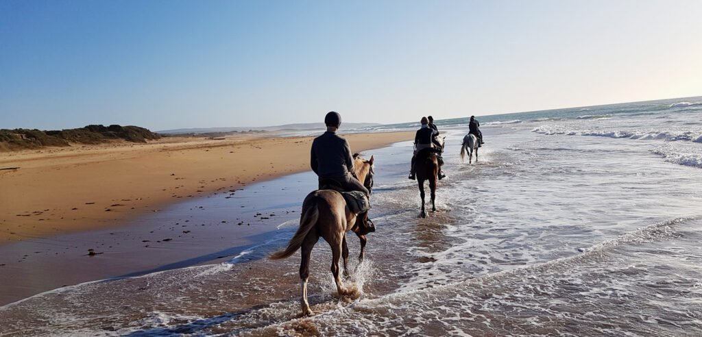 Excursion à cheval sur la plage d'Agadir