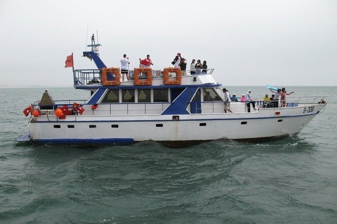 Croisière en bateau avec déjeuner à Agadir