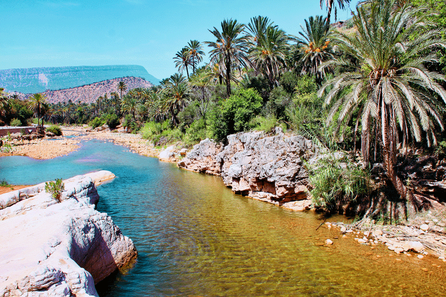 Excursion d'une journée à la Vallée du Paradis