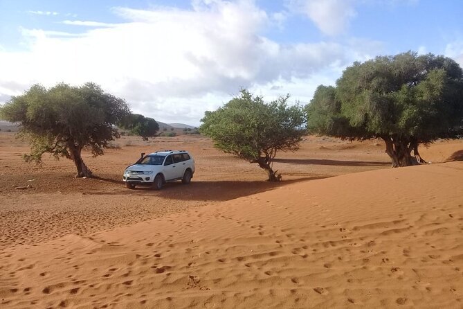 Excursion en 4x4 dans le désert de Massa