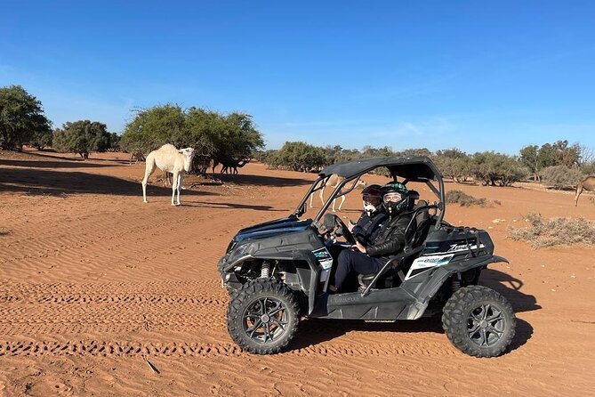 Excursion en buggy à travers la campagne d'Agadir