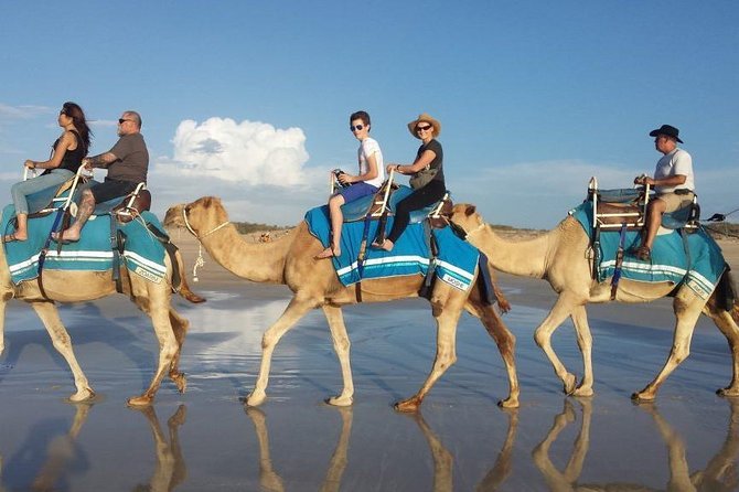 Safari en dromadaire dans les environs désertiques d'Agadir