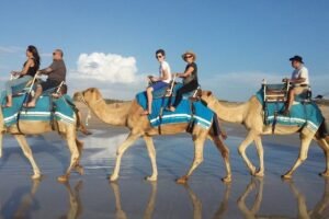 Safari en dromadaire dans les environs désertiques d'Agadir 