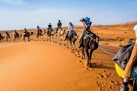 Safari en dromadaire dans les environs désertiques d'Agadir