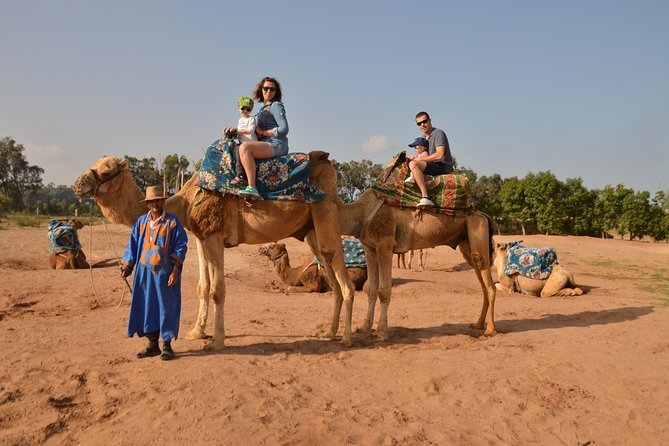 Safari en dromadaire dans les environs désertiques d'Agadir