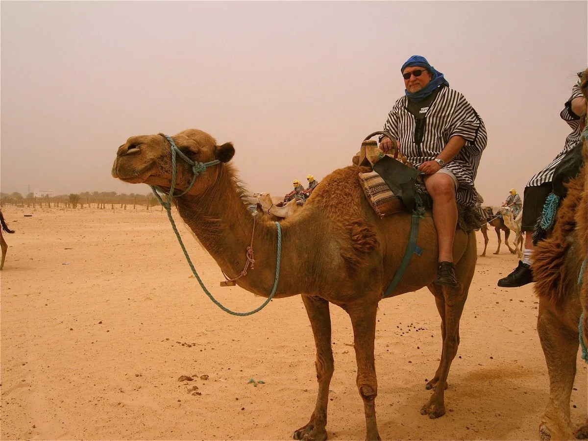 Safari en dromadaire dans les environs désertiques d'Agadir