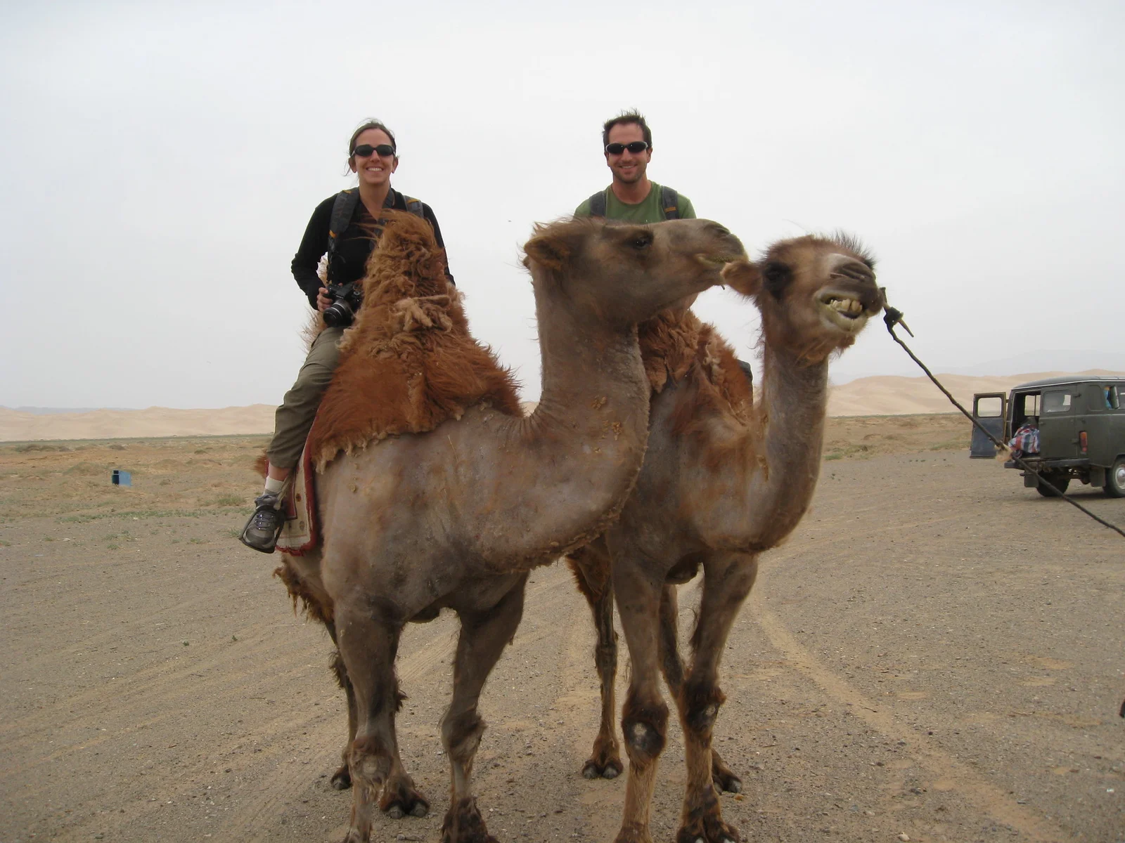 Safari en dromadaire dans les environs désertiques d'Agadir