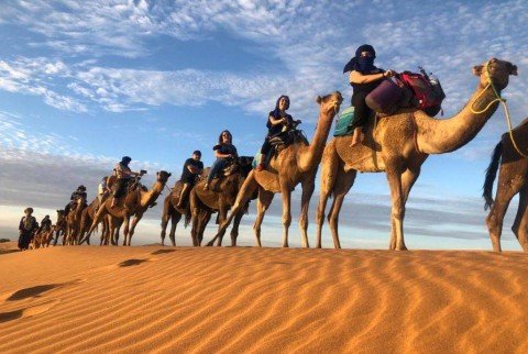 Safari en dromadaire dans les environs désertiques d'Agadir