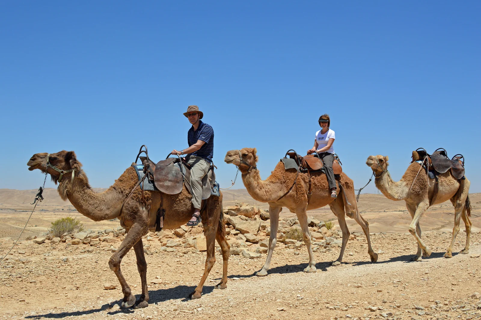 Safari en dromadaire dans les environs désertiques d'Agadir