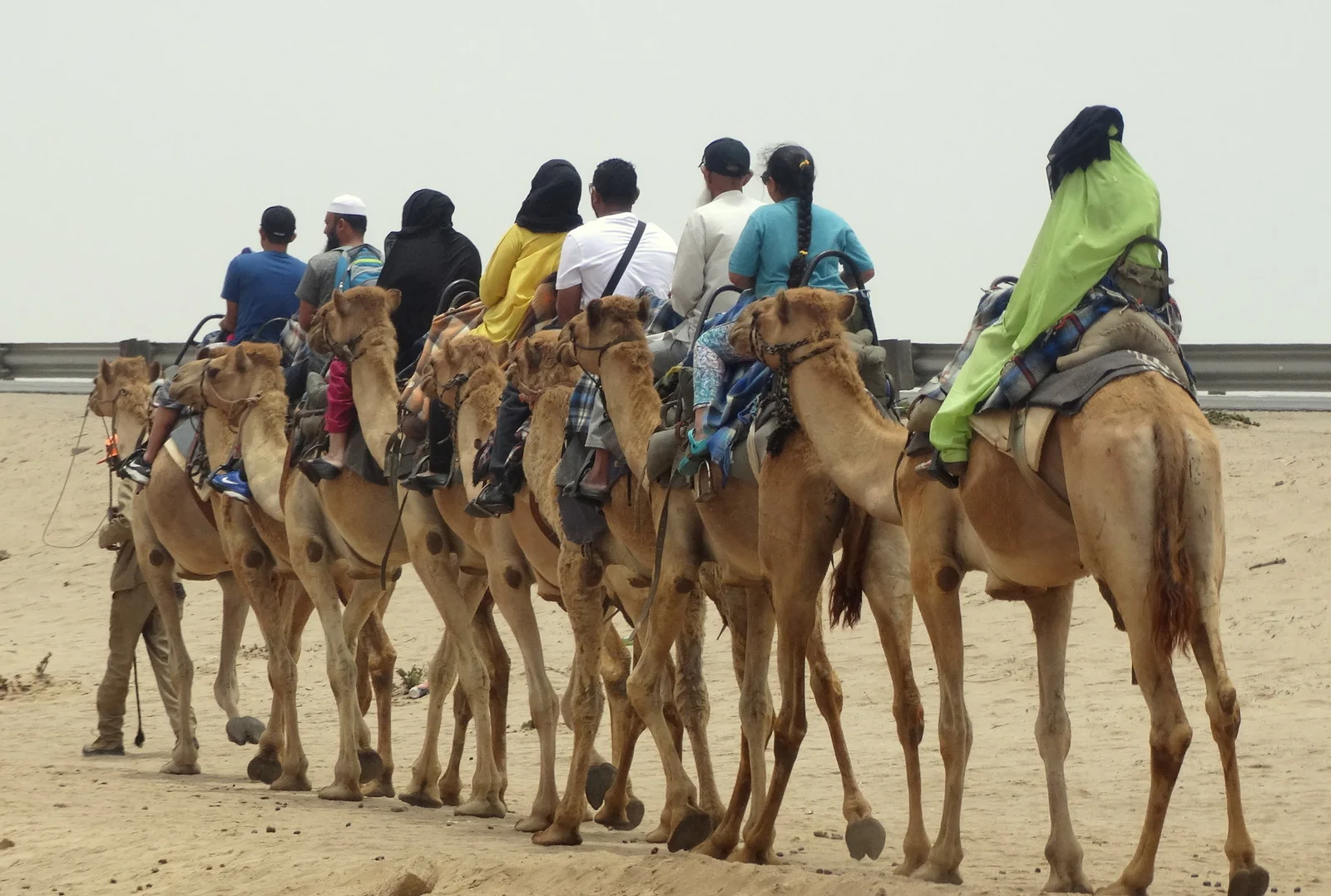 Safari en dromadaire dans les environs désertiques d'Agadir