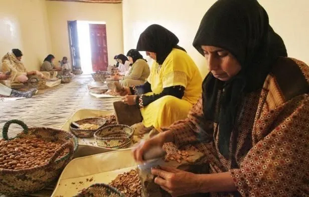 Visite d'une coopérative d'argan pour découvrir la production de l'huile d'argan