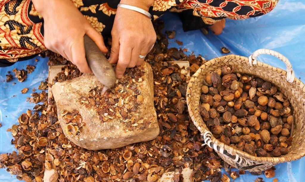 Visite d'une coopérative d'argan pour découvrir la production de l'huile d'argan