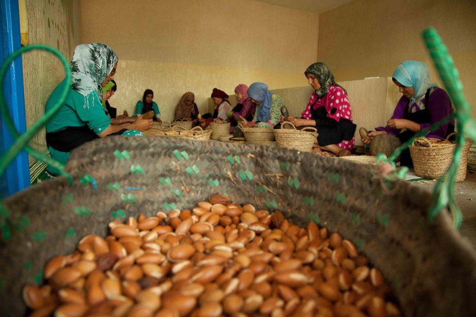 Visite d'une coopérative d'argan pour découvrir la production de l'huile d'argan