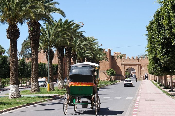 Excursion d'une journée à Taroudant, la petite Marrakech